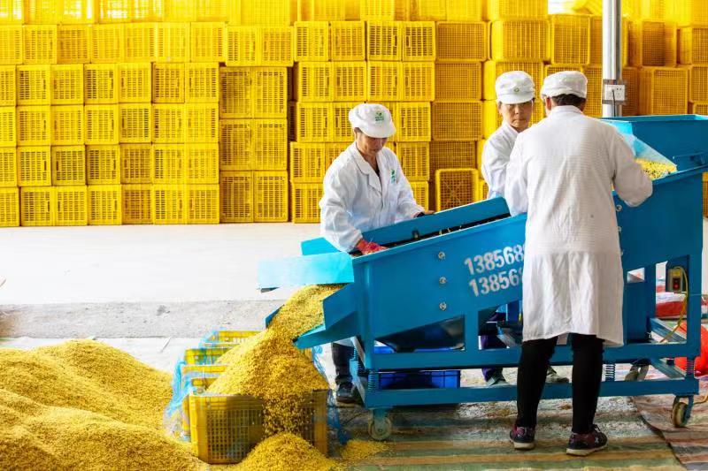 钟薛高新包装产品印有建议零售价(图2)