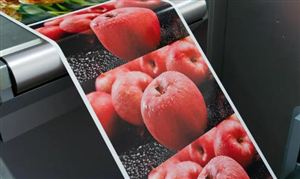 2024包装印刷行业发展环境与前景、趋势(图6)