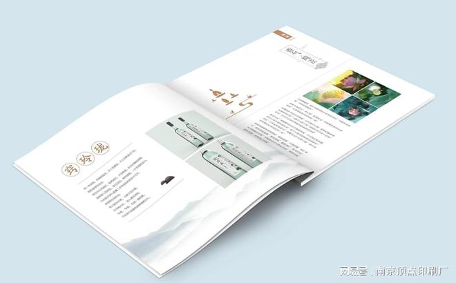 南京高端宣传册设计定制的核心要点-南京纸袋档案袋印刷制作(图3)