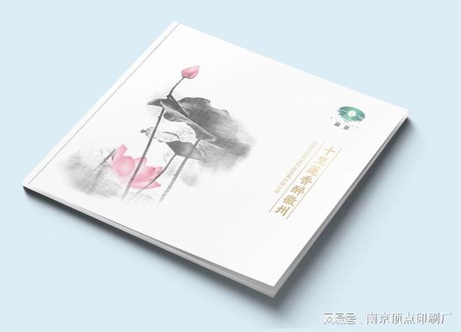 南京高端宣传册设计定制的核心要点-南京纸袋档案袋印刷制作(图1)