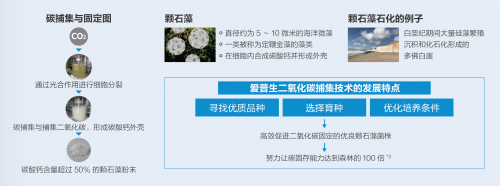 从人类愿景到企业担当爱普生全力践行绿色承诺(图8)