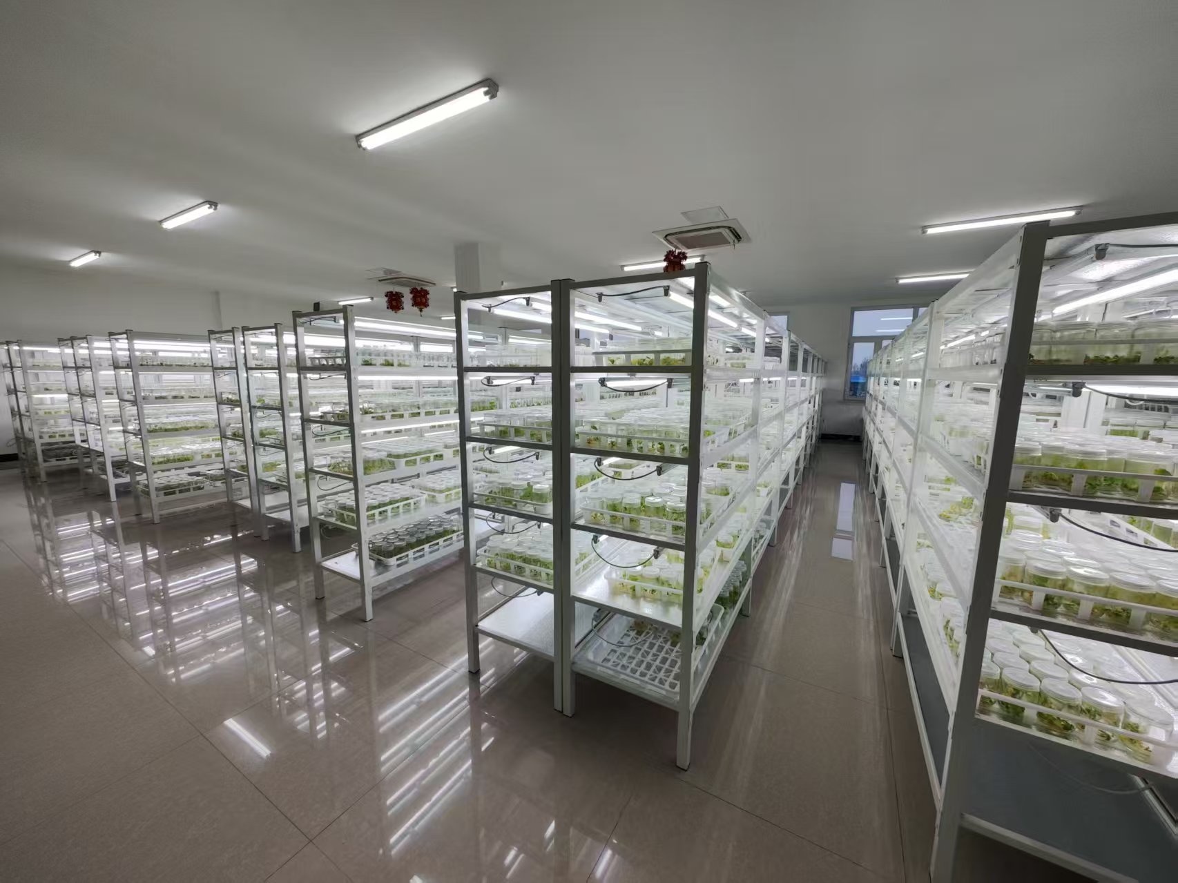 克山县：奏响高质量发展最强音(图2)