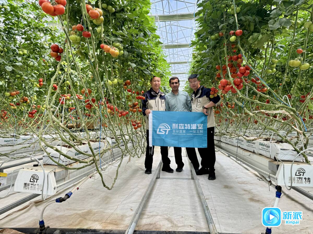 潍坊国家农综区：新时代中国农业走向世界的国家名片(图1)