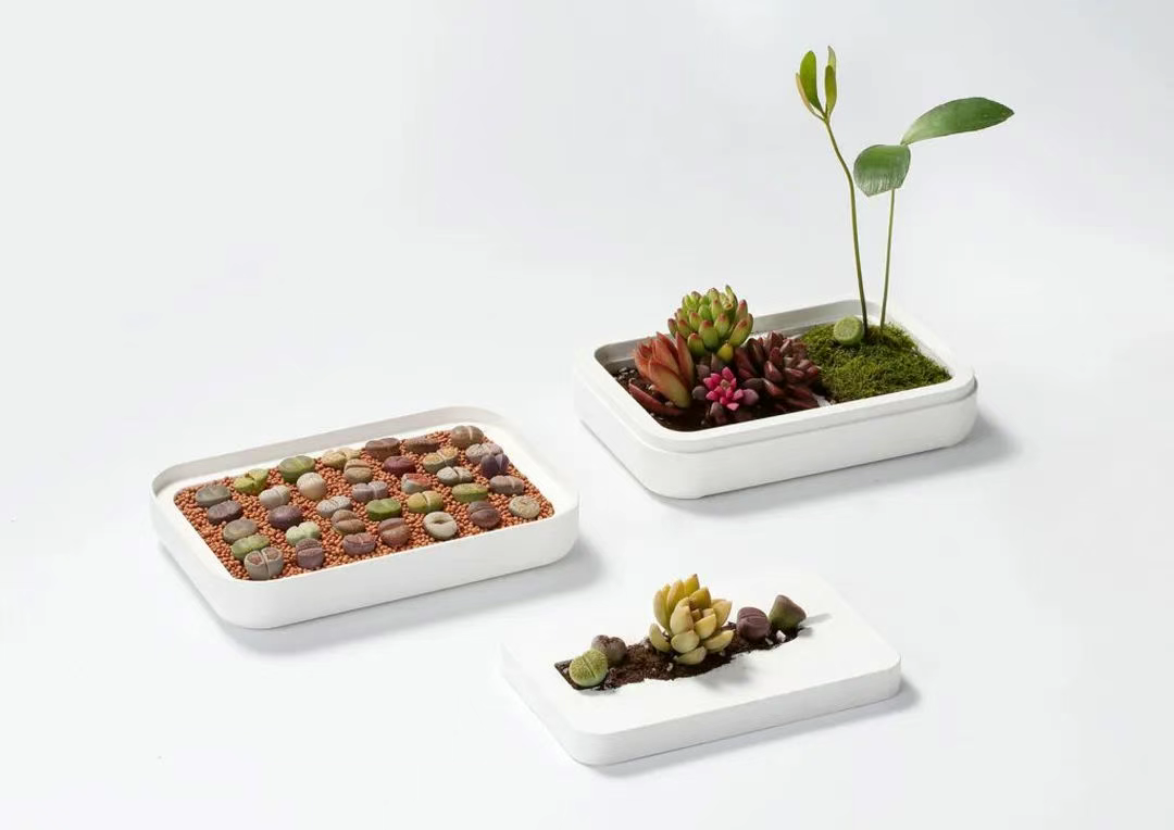 2025红点奖：聚焦可持续包装获奖作品大盘点！_科印印包圈(图17)