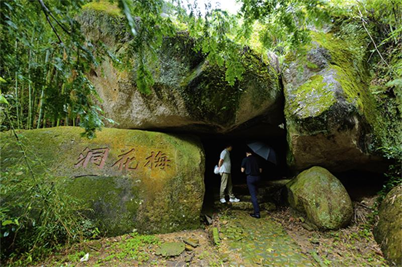 2025“福农优品·我在家乡等你来”活动走进仙游(图10)