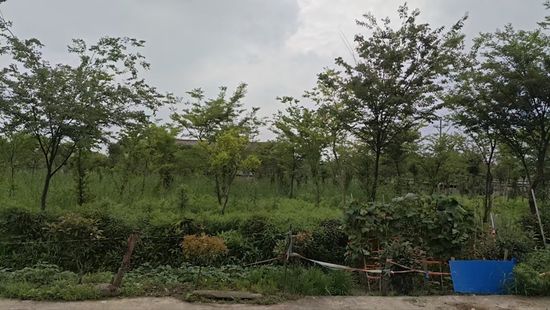 百菲乳业IPO:净利率远超同业均值其一经销商踪迹难寻(图3)