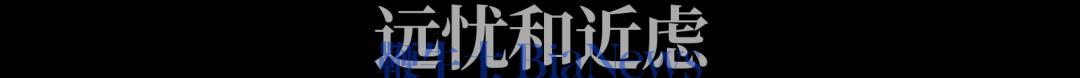 库克王宁同框同为供应链大师「潮链」为何不如「果链」赚钱?(图10)
