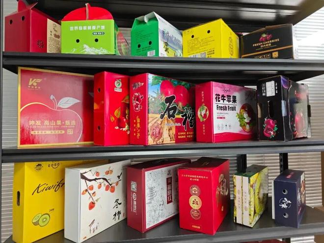 【企业】陕西东方俊辉环保包装有限公司：匠心铸就品质绿色引领未来(图4)