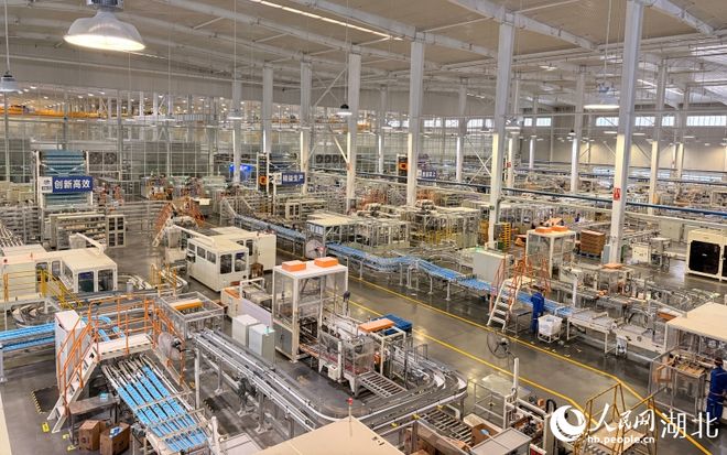 行进中国孝南的“纸”力奇迹(图1)