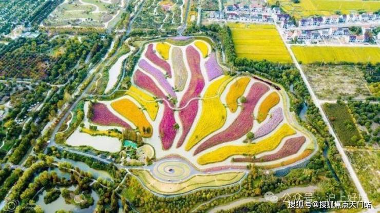 国印东方-上海金山国印东方售楼中心()-楼盘评测-地铁通勤-户型-价格‖(图22)