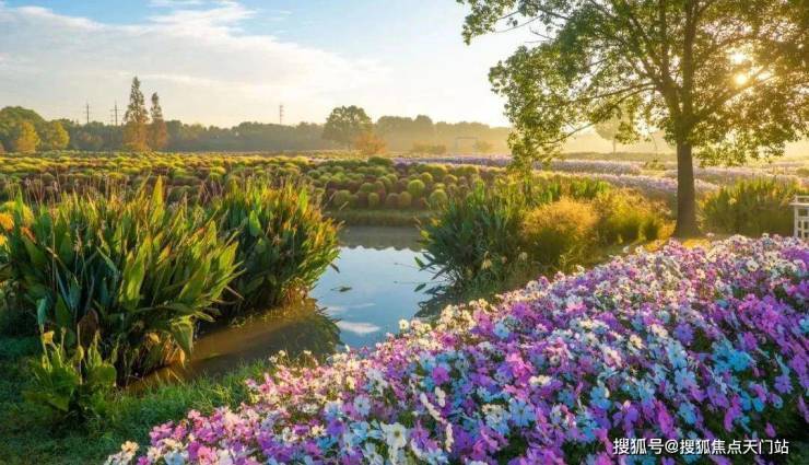 国印东方-上海金山国印东方售楼中心()-楼盘评测-地铁通勤-户型-价格‖(图23)