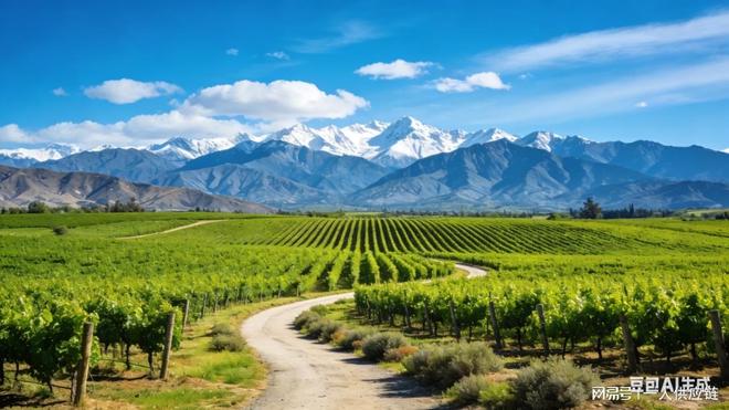 溯源可视化上海一人供应链让每瓶定制酒都有据可查(图1)