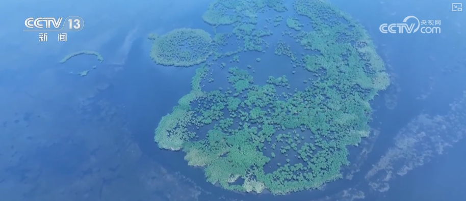 “变废为宝”鼓了百姓“钱袋子”鲜活实践成撬动生态治理与经济发展“绿色杠杆”(图1)