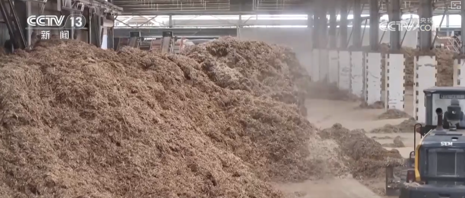 “变废为宝”鼓了百姓“钱袋子”鲜活实践成撬动生态治理与经济发展“绿色杠杆”(图2)