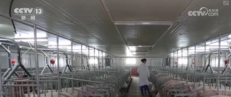 “变废为宝”鼓了百姓“钱袋子”鲜活实践成撬动生态治理与经济发展“绿色杠杆”(图7)