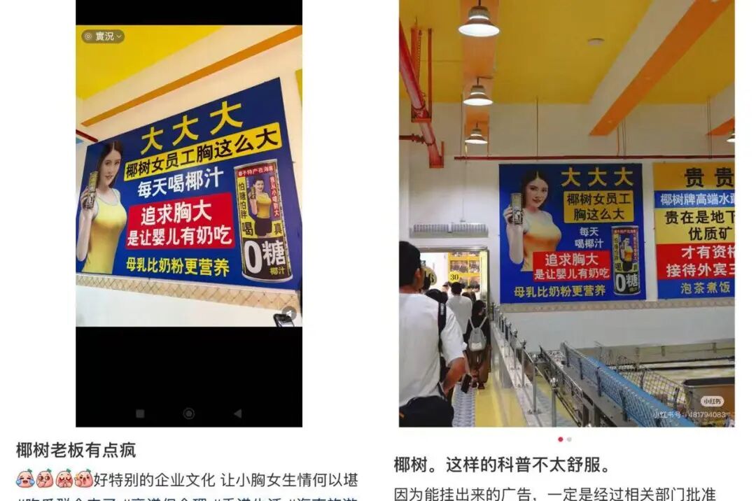 “椰树女员工胸这么大”广告语引争议回应(图1)