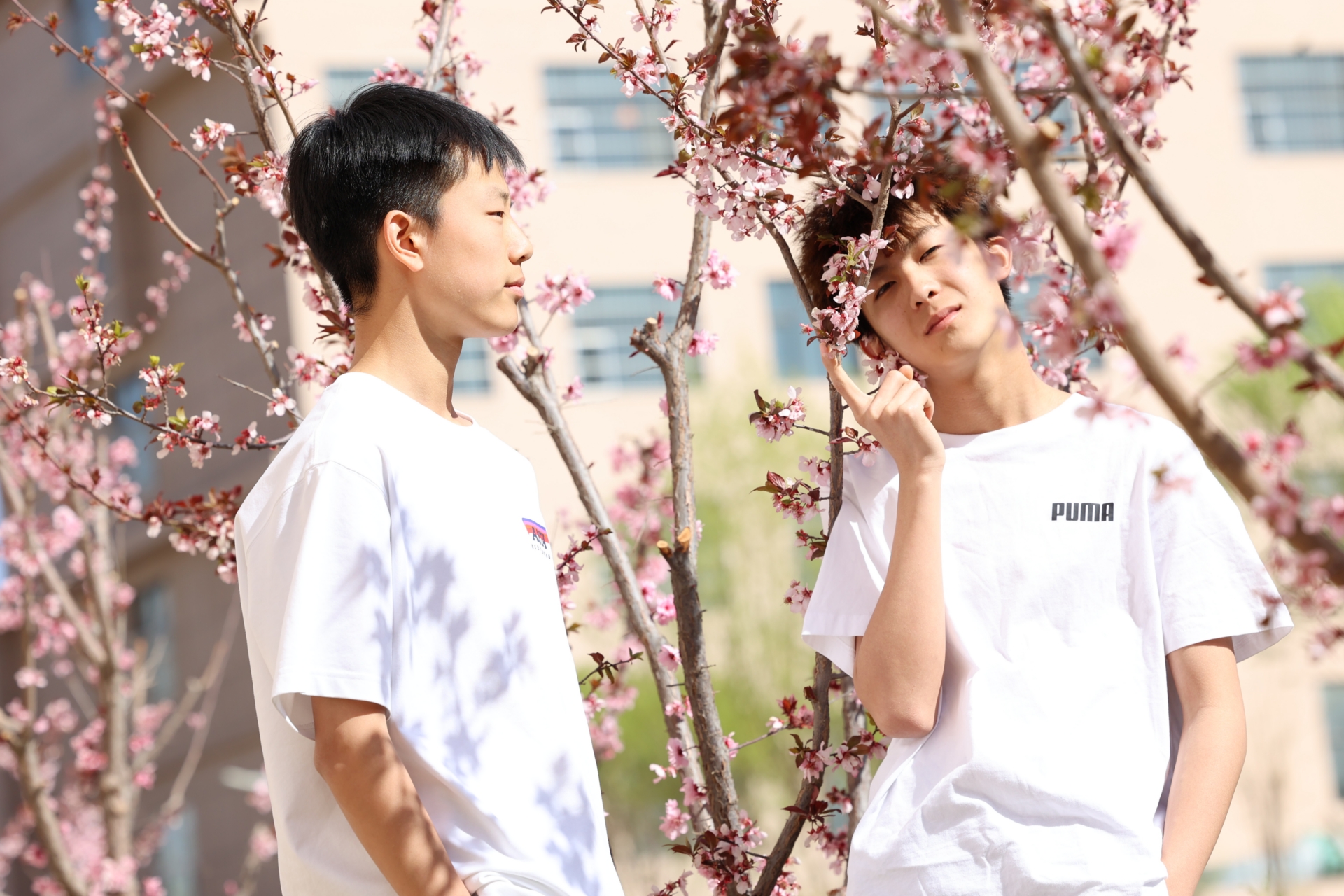 剖析靠谱的AI文创设计学校想学AI文创设计推荐哪家比较靠谱(图2)